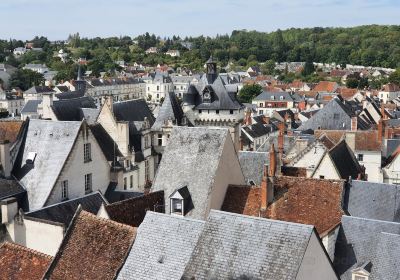 Royal City of Loches