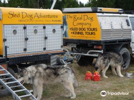 Real Dog Adventures NZ