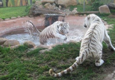 ローリー・パーク動物園