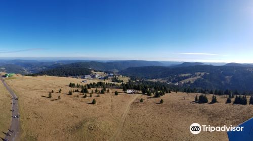 Feldberg