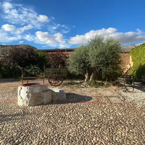 Bodega Arbas