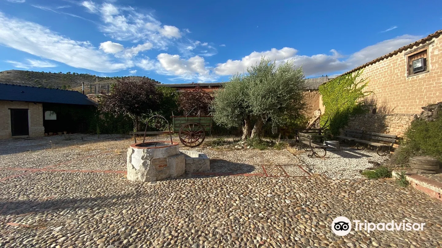 1_Bodega Arbas