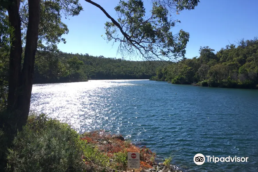 Serpentine Pipehead Dam