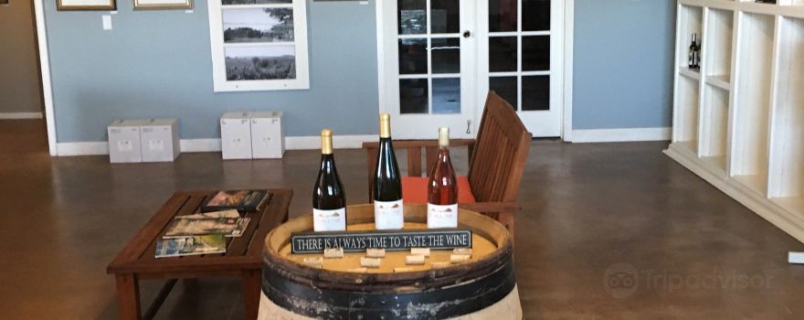 Fogline Vineyards