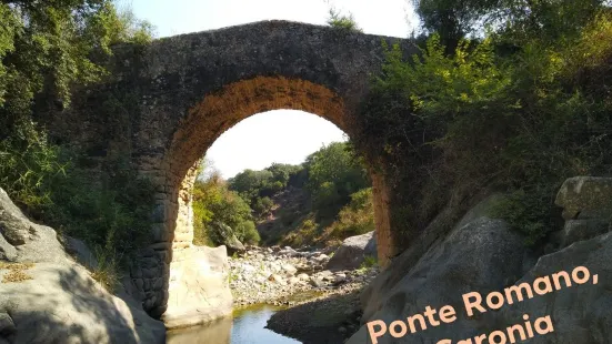 Ponte Romano sul Torrente Nicoletta