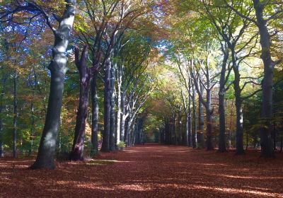 Natuurmonument Corversbos