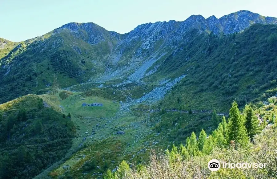 Alpe Pedroria e Alpe Madrera