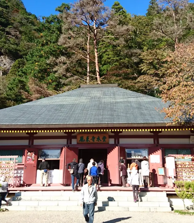 新城市