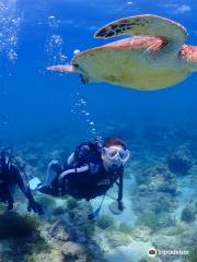 Scuba Diving Ever Blue Yakushima