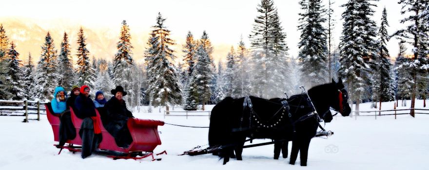 Cripple Creek Horse Ranch