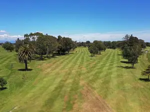 Feilding Golf Club