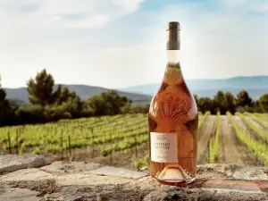 Chateau La Coste en Provence