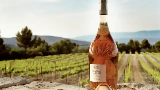 Chateau La Coste en Provence