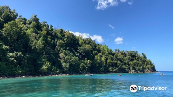 Toucari Bay