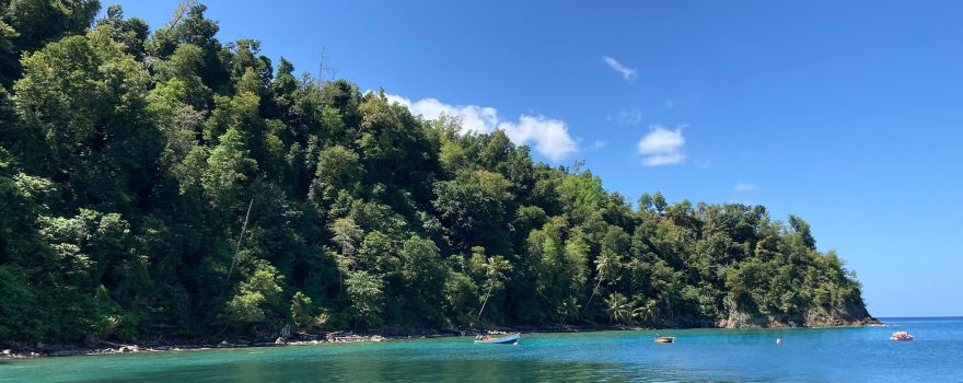 Toucari Bay