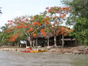 Casamance VTT