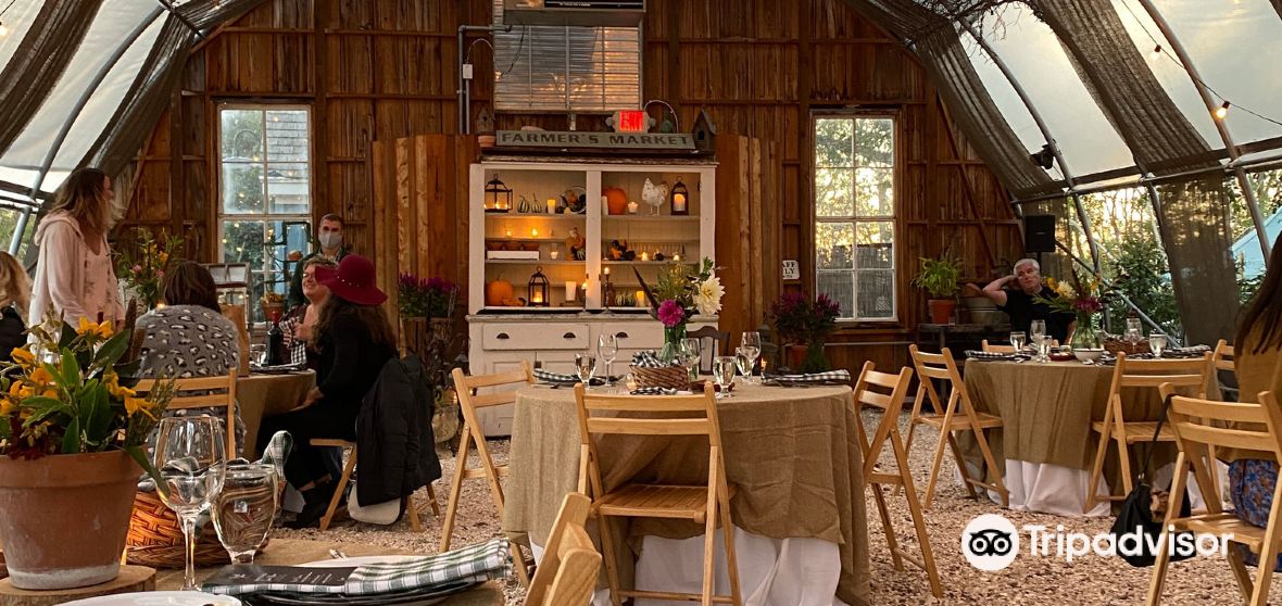 West Cape May Travel Guide 2024 Things to Do, What To Eat & Tips