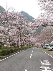 Kinarinosato, Shimokitayama Sports Park