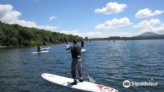 My Kiwi Adventure Ltd