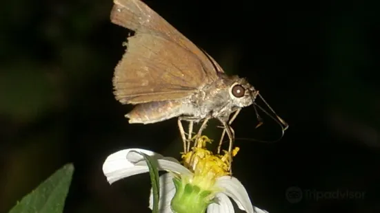 FIU Nature Preserve