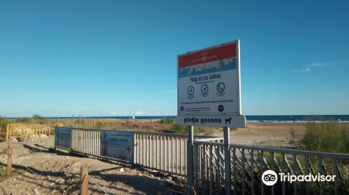 Playa de Les Salines