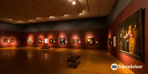 Polk Museum of Art