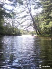 Powder Mill Pond