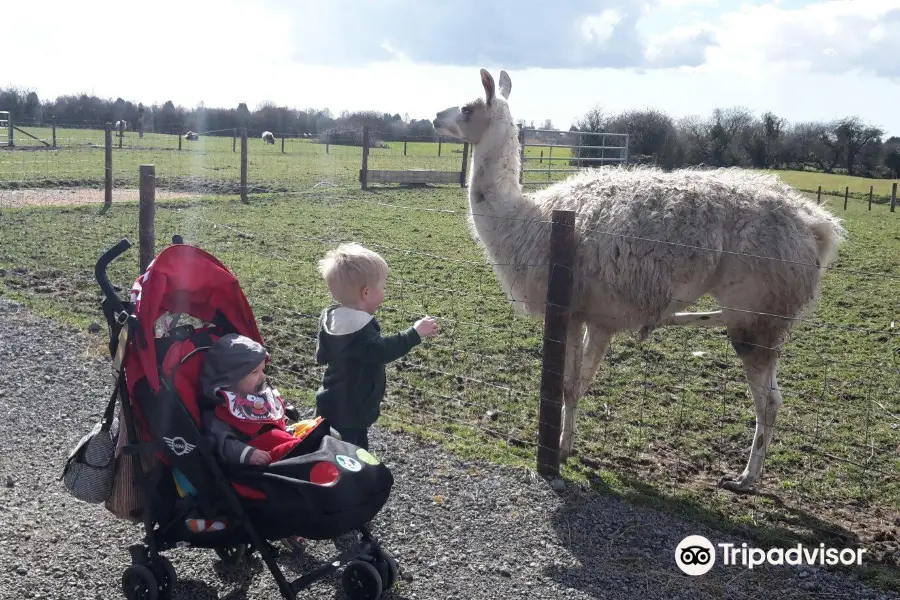 Walnut Tree Farm Park