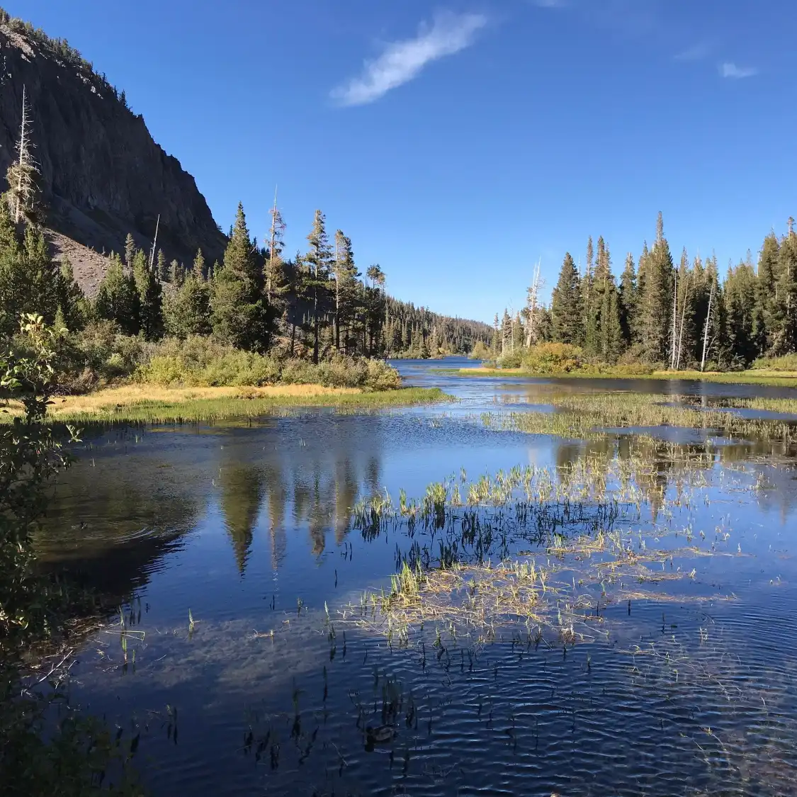 Hotels near Twin Lakes Vista