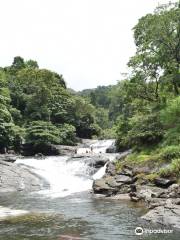 Kozhippara Waterfalls