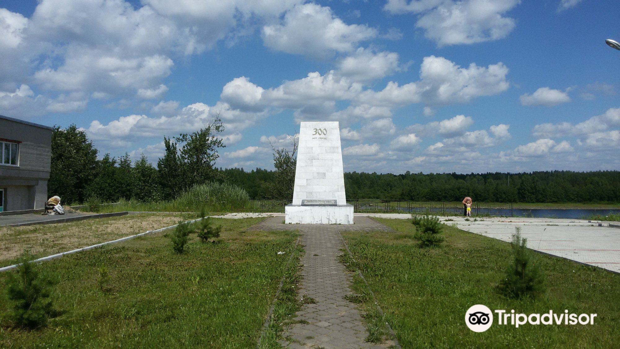 Где В Лодейном Поле Можно Купить