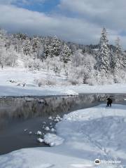 Harmon Lake