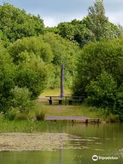 Meeth Quarry Nature Reserve (DWT)