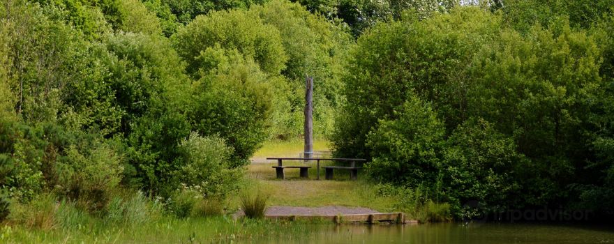 Meeth Quarry Nature Reserve (DWT)