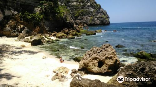 Tembeling Beach and Forest