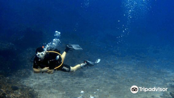 Porto Heli Scuba Club