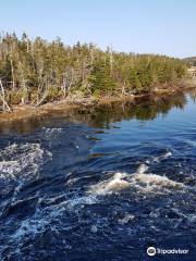 Atlantic View Trail