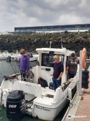 Brest Fishing