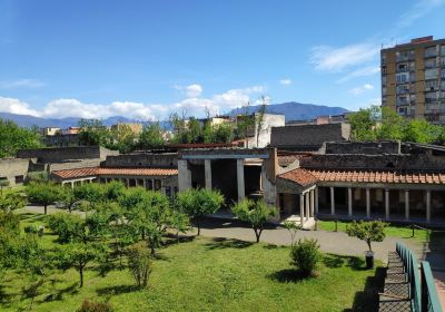 Oplonti Villa di Poppea Ruins