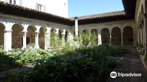 Cloître de Saint-André-le-Bas