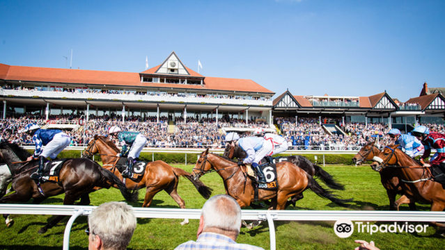 Chester Racecourse