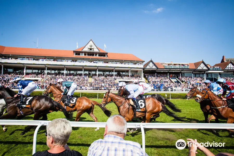 Chester Racecourse