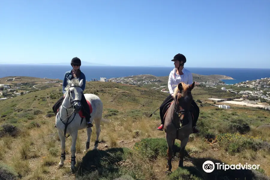 Equestrian Club of Cyclades