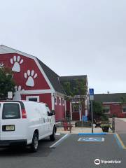 Humane Society of Ocean City