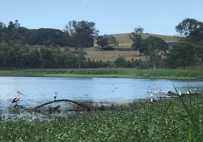 Hasties Swamp National Park