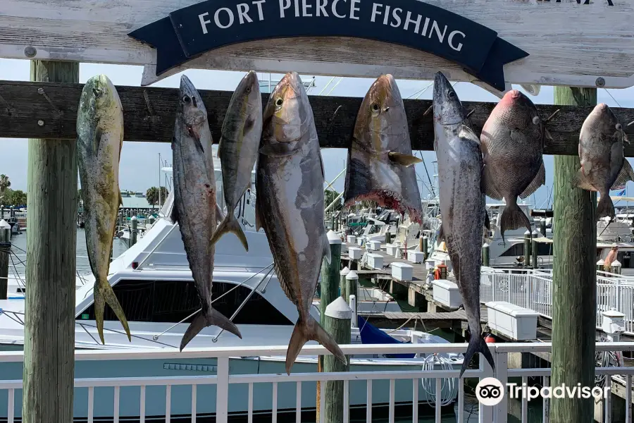 Last Mango Charter Fishing