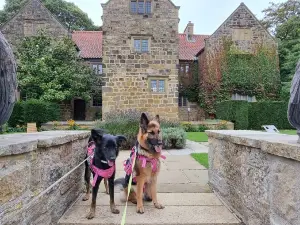 National Trust - Washington Old Hall