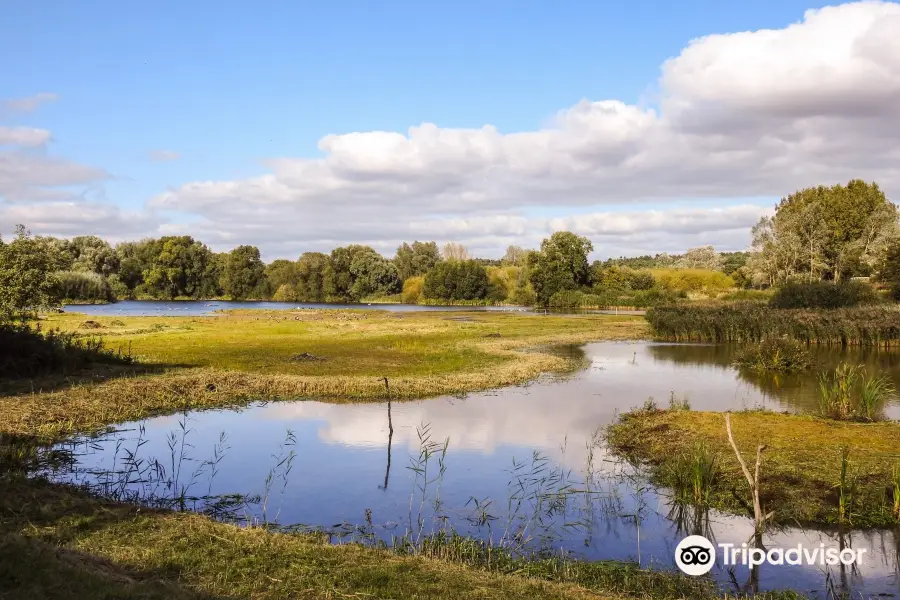 Lackford Lakes