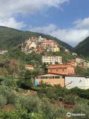 Cantina Sociale Cesanese del Piglio