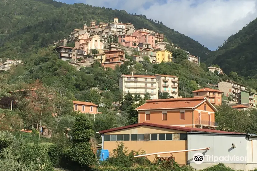 Cantina Sociale Cesanese Del Piglio